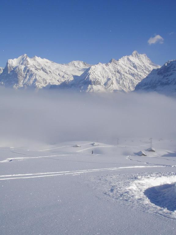 Chalet Asterix Grindelwald Ngoại thất bức ảnh