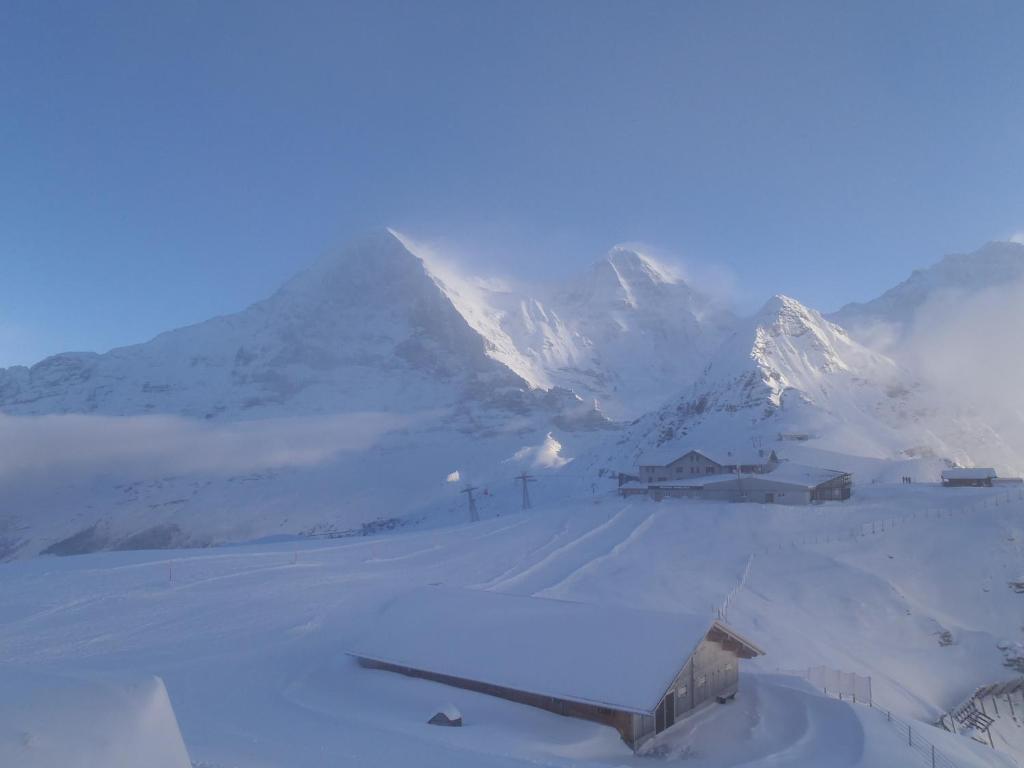 Chalet Asterix Grindelwald Ngoại thất bức ảnh